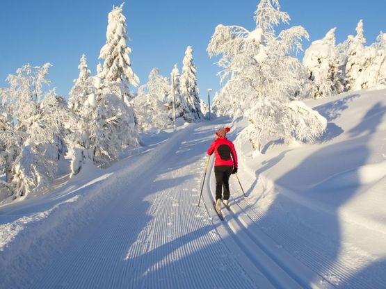 jokkerin kiinteistöhoito latuhuolto
